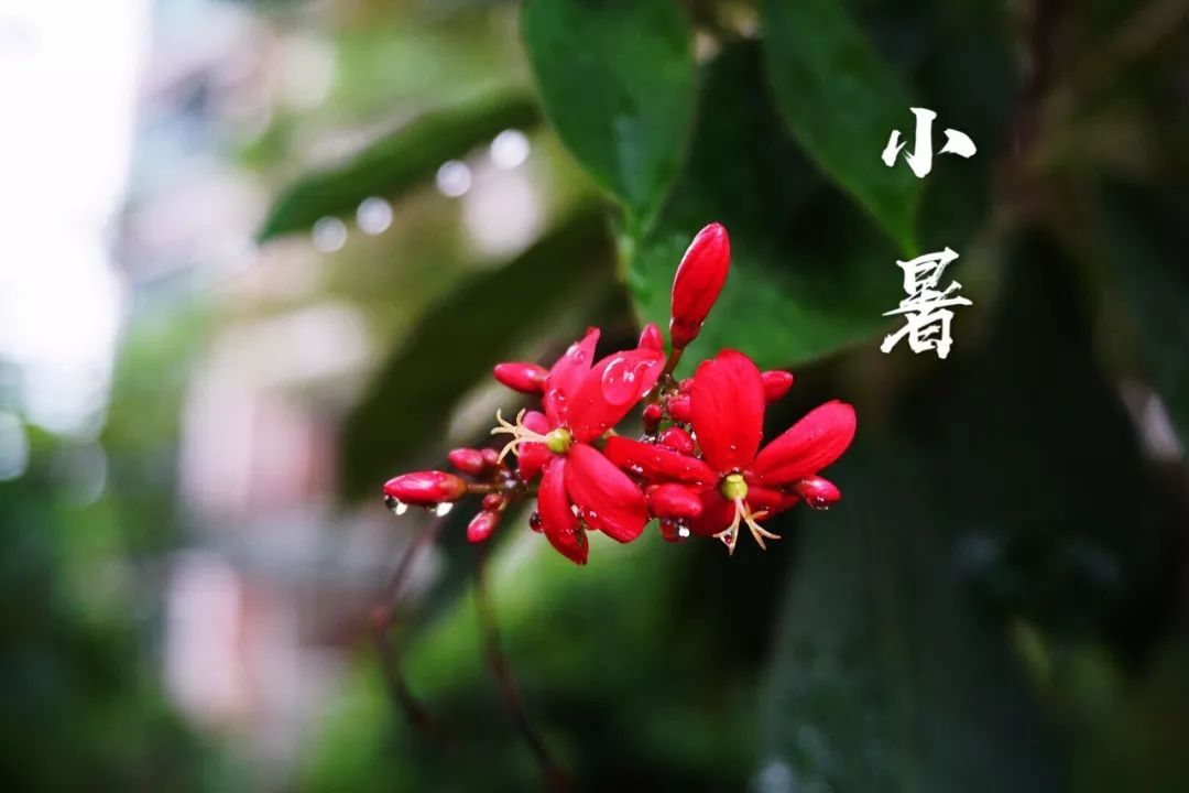 小暑|時光無涯，KA螺旋錐減速機廠家